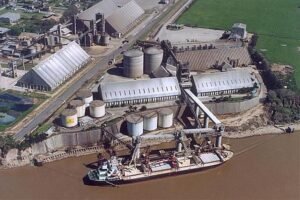 La Sindicatura de Vicentin es parte del problema 10 vicentin san lorenzo